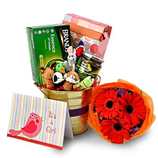 Learning Baby Brady - Mommy & Baby Gift