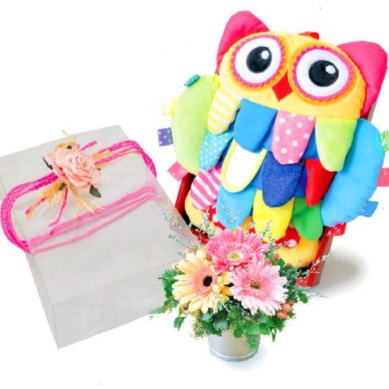 Baby Woodsy Owl - Baby Gift