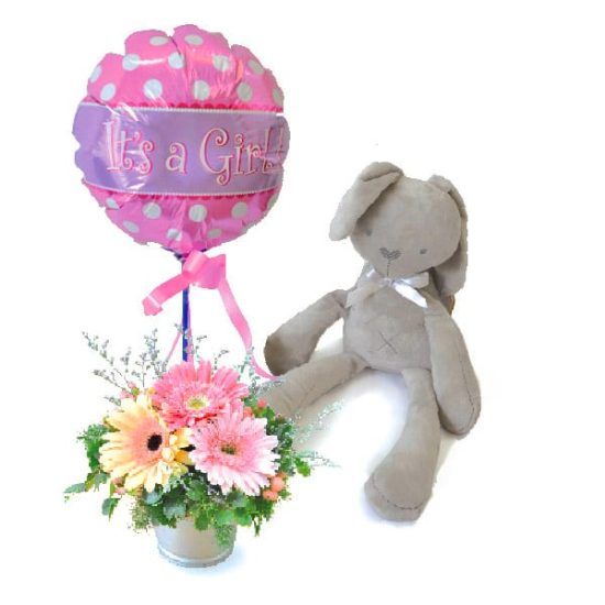 Baby Cinnamon Bunny - Baby Shower Gift