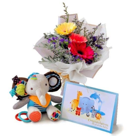 My First Elephant - Mommy & Baby Gift