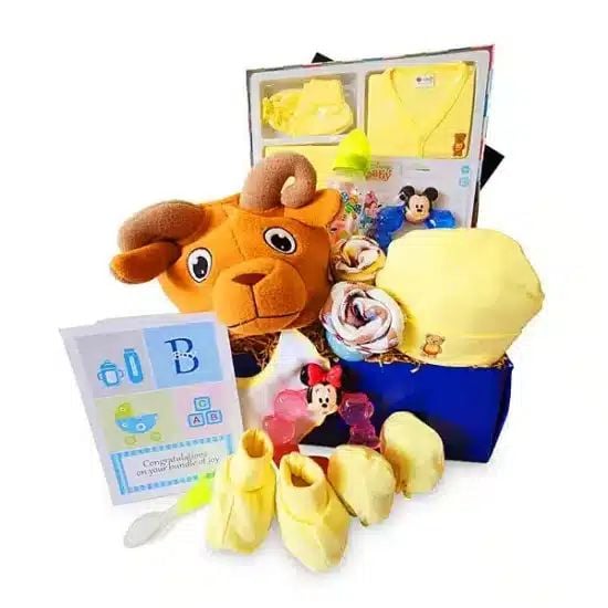 Beary Tot - Baby Hamper