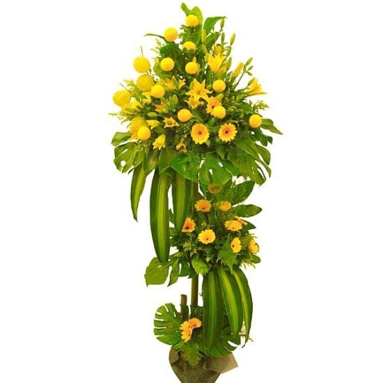 Sunny Viva - Grand Opening Flower Stand
