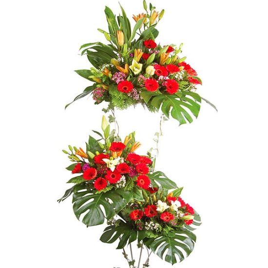 Triumph - Grand Opening Flower Stand