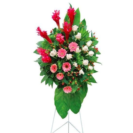 Greeting Daisy - Grand Opening Flower Stand