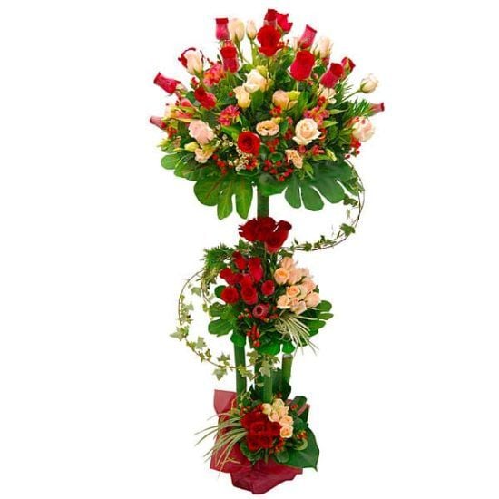 Triumphant Rosy - Grand Opening Flower Stand