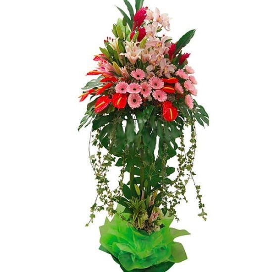Royal Symphony - Grand Opening Flower Stand