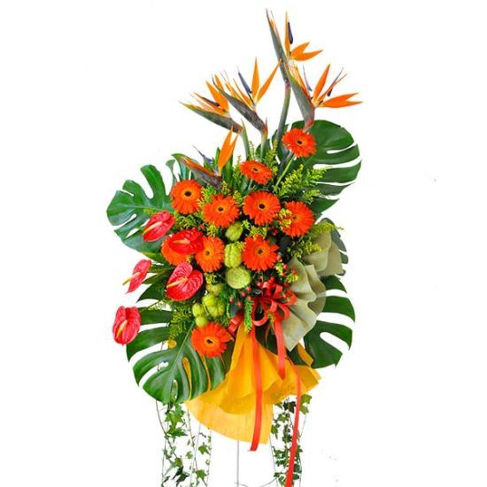Amazing Loretta - Grand Opening Flower Stand