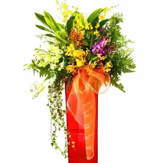 Orchid Ecstacy - Grand Opening Flower Stand