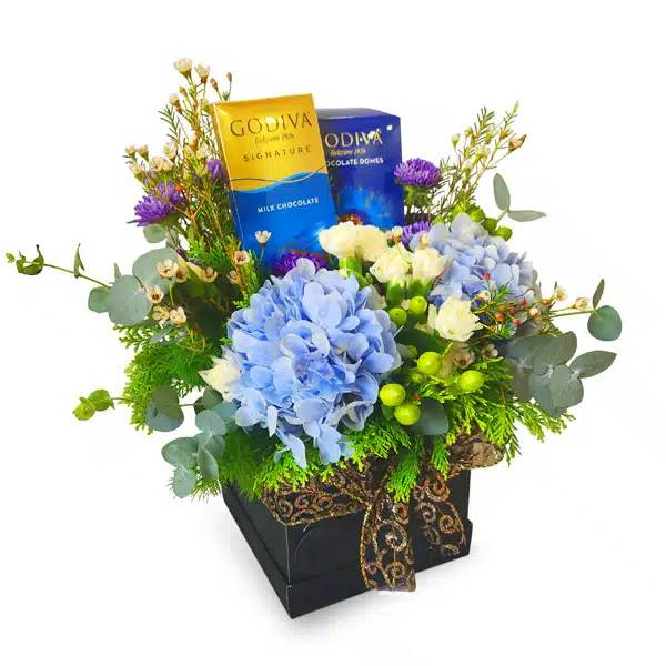 Praesto Godiva - Christmas Gifts