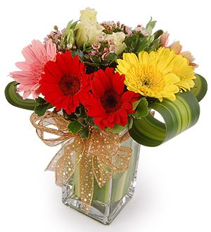 Blushing Colors - Gerberas Flower Arrangement