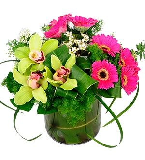 Glorious Cymbidia - Flower Arrangement