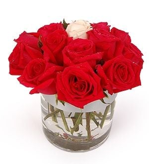 English Rossa - Roses Flower Arrangement (English Rossa - 12 stalks - Rose Flower Arrangement)