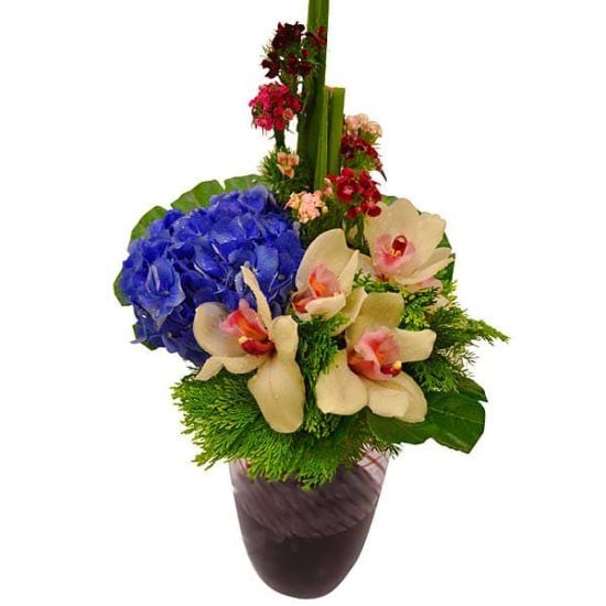 Love Triumph - Hydrangeas Flower Arrangement