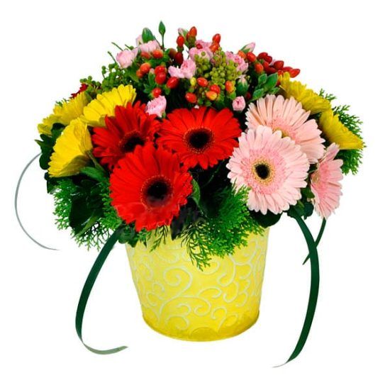 Colorful Fanfare - Gerberas Flower Arrangement