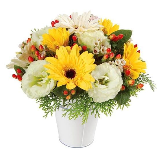 Sweet Daisy - Flower Arrangement
