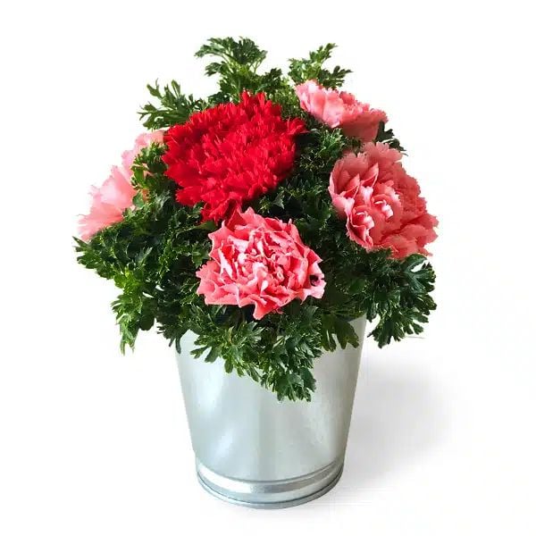 Dainty Carnations - Flower Arrangement
