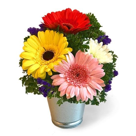 Loving Daisy - Flower Arrangement