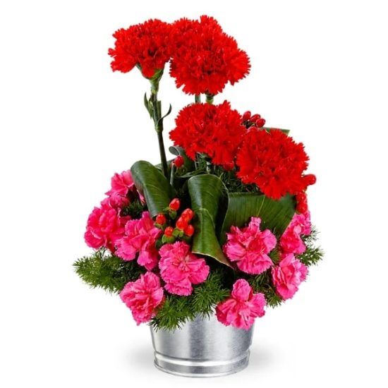 Vibrant Carnations - Flower Arrangement