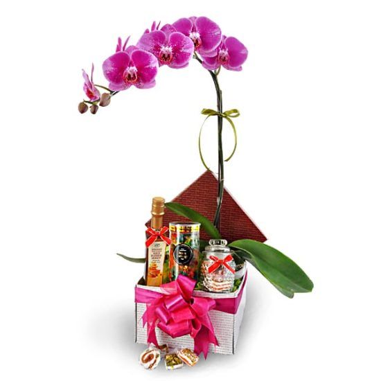Labisia Orchid - Flower Halal Gift