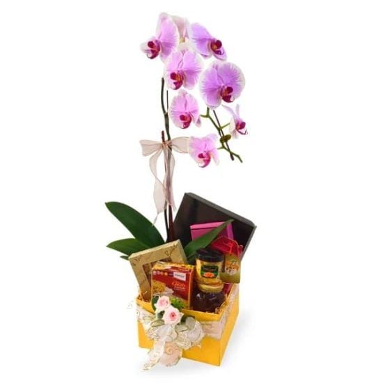 Magnolia Orchid - Halal Wellness Hamper