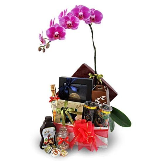 Pudina Orchid - Flower Halal Gift