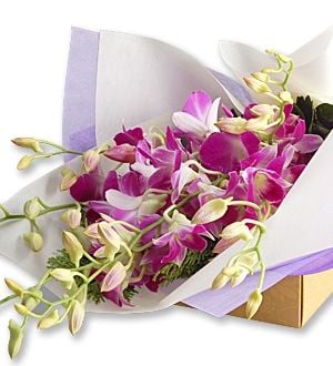 Orchid Affairs - Orchid Flower Box Bouquet