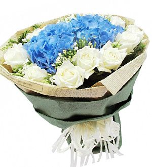 Poisy Hydrangea – Flower Bouquet (Premium Poisy Hydrangea - 1 large Hydrangeas and 24 Roses Flower Bouquet)