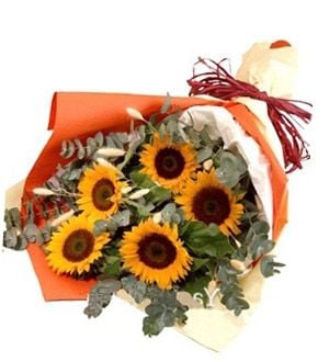 Sunny Lyrica - Flower Bouquet (Sunny Lyrica - 5 stalks Sunflower Bouquet)