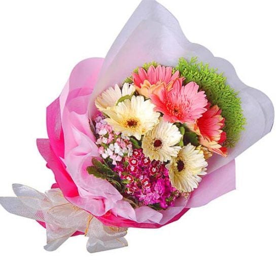 Gerby Derby - Gerberas Flower Bouquet (Gerby Derby - 8 stalks Gerberas Flower Bouquet)