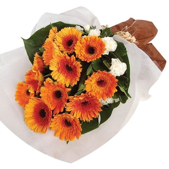 Happily Gerberas - Flower Bouquet