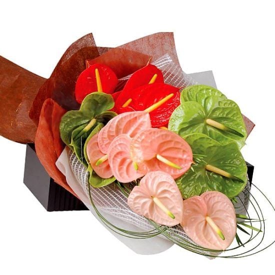 Anthuriums Bunch - Flower Bouquet