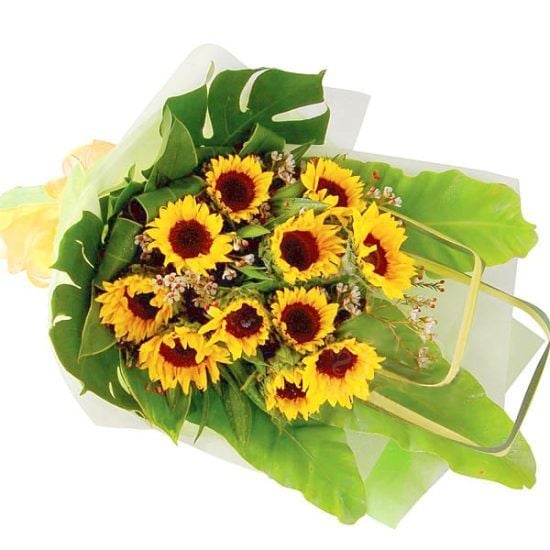 Brightly - Sunflower Bouquet (Brightly - 12 stalks Sunflower Bouquet)