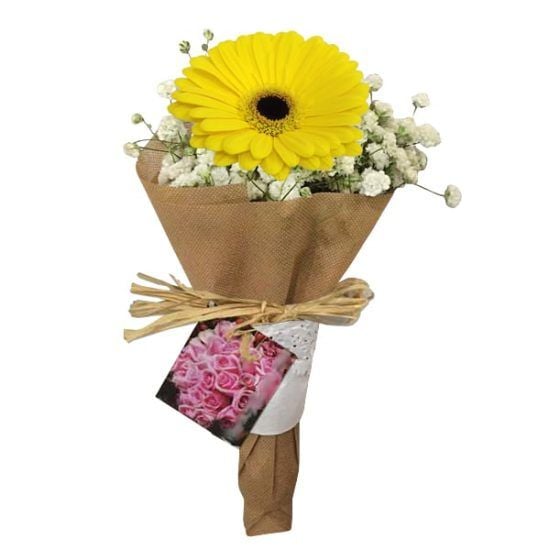 Sola Gerbera - Hand Bouquet