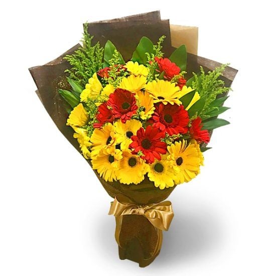Dainty Gerby - Gerbera Hand Bouquet