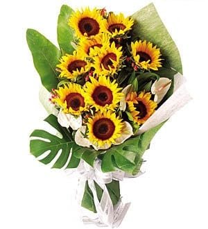 Bonjour - Sunflowers Bouquet (Bonjour - 10 stalks Sunflower Bouquet)