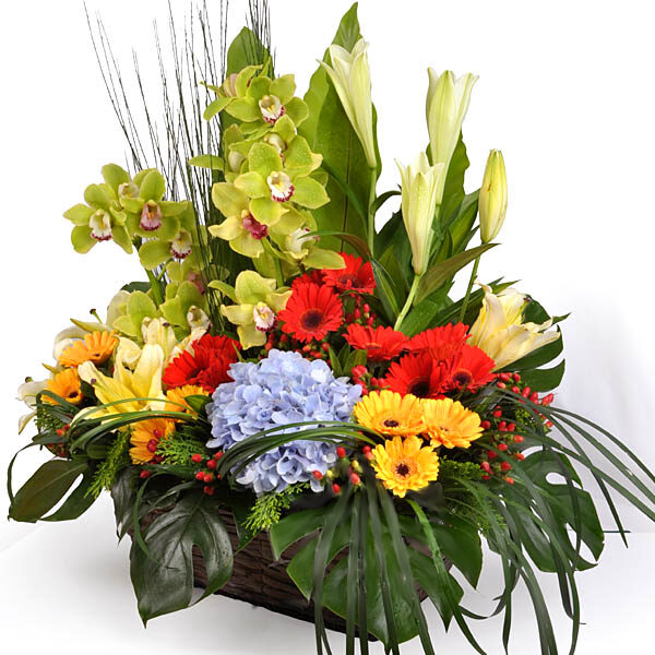 Flora Asirvada - Flower Basket