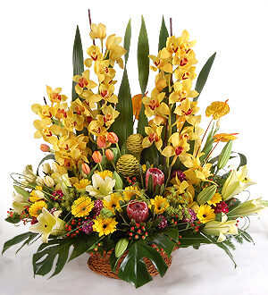 Quinsy - Flower Basket