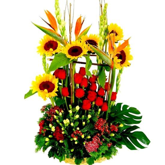 Golden Triumph - Flower Basket