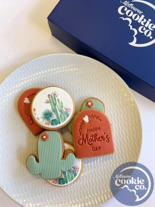 Happy Mother's Day Cactus Box Set Cookies