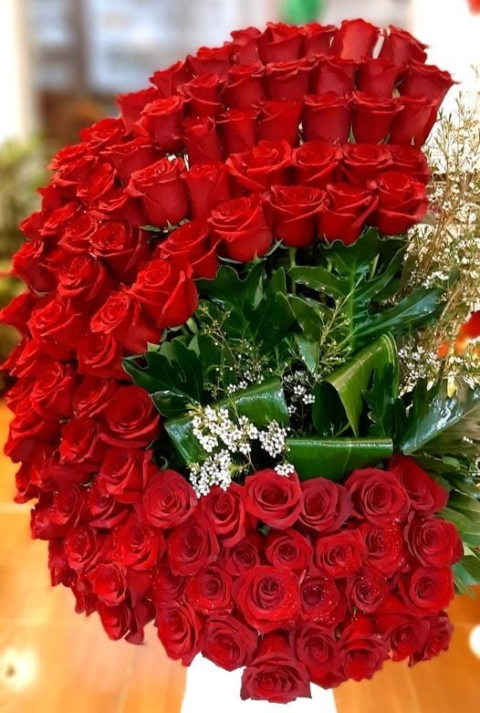 Crescent of 100 imported roses