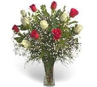 Vase 12 Bicolor Roses