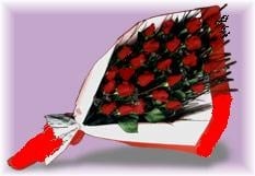 Bouquet 24 Premium Imported Roses
