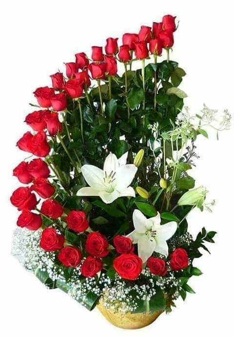 Arrangement of 36 crescent roses