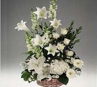 White floral arrangement with lilies, roses and Saint Vincent