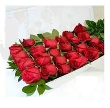 BOX OF 24 ROSES
