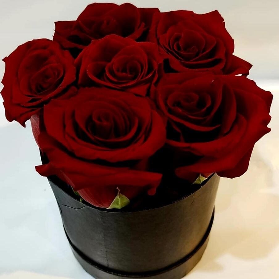 Round box of 6 IMPORTED Roses