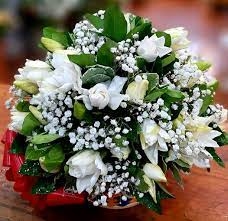 MEDIUM BASKET OF JASMINE
