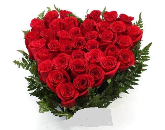 HEART ROSES Premium
