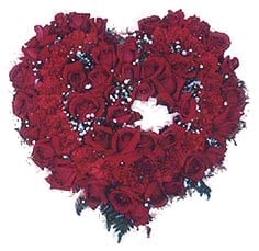 Heart Roses Standard