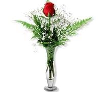 Vase 1 rose